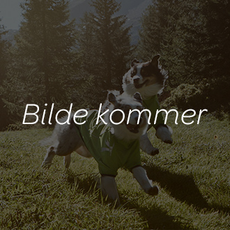 Burde jeg hekte med min beste venn