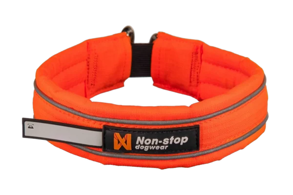 safe collar scaled