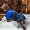 beta blå hund