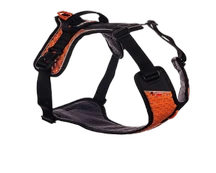 ultra harness web 31