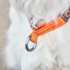 oransje