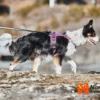 ramble lilla2