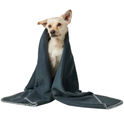 teppe caspar1