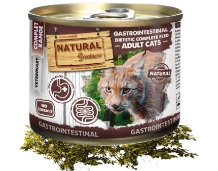 gastro katt