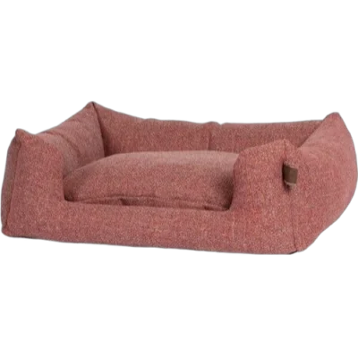 fantail rosa