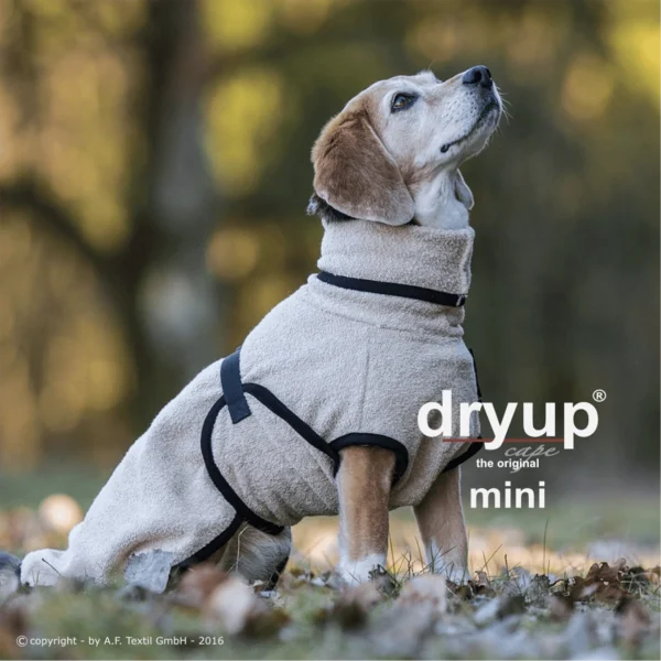 dryup2