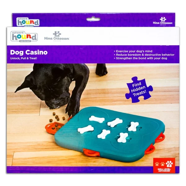 dog casino