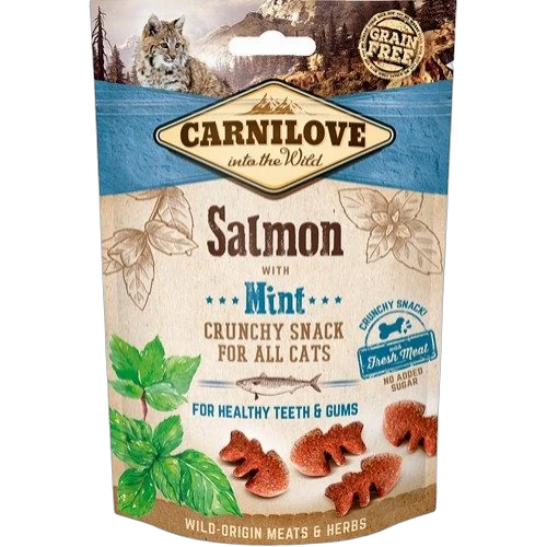salmon katt