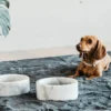 marble hvit3