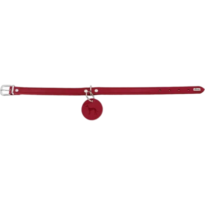 allborg rod1