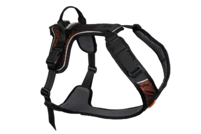 rock harness