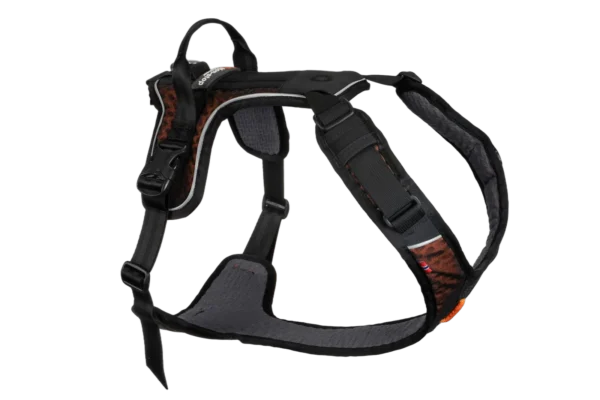 rock harness