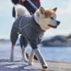 midlayer