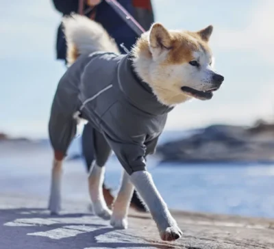 midlayer