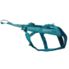 freemotion teal