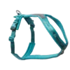 teal line harness