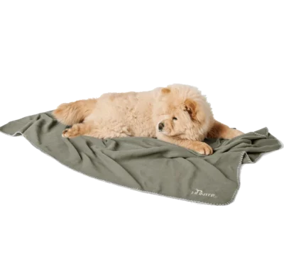 casper olive hund