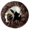 brun hule hund
