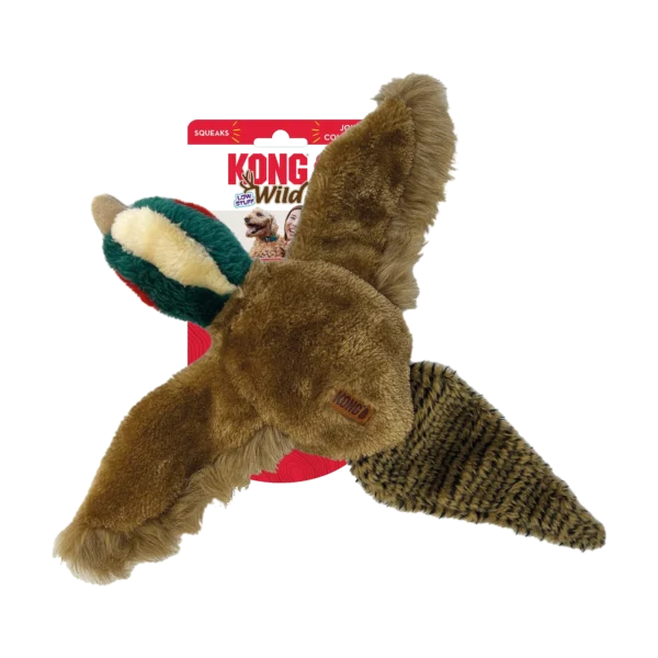 kong wild