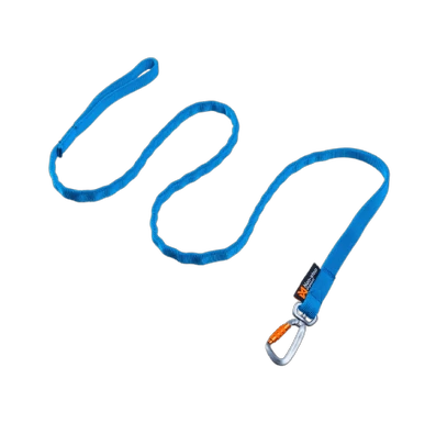 bungee leash bla