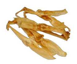 kaninører