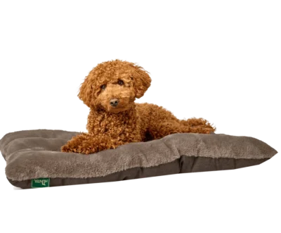 rockford brun m hund