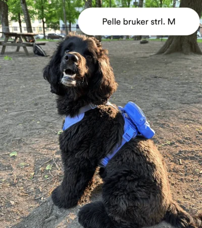 blå bag pell