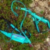 CaniXBelt Aqua Set WEB 1