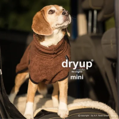 dryup brown mini